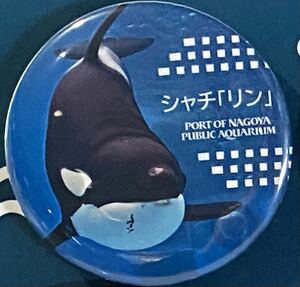 名古屋港水族館 リン シャチ 缶バッジ