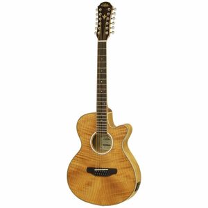 ★ARIA アリア FET-DLX/12 N Natural ピックアップ搭載 12弦ギター エレアコ ケース付★新品送料込