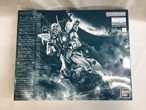 【1円～】【未開封】1/100 MG ZGMF-X12D ガンダムアストレイ アウトフレームD 「機動戦士ガンダム SEED DESTINY ASTRAY」