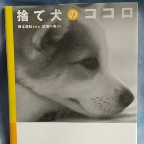 捨て犬のココロ 藤本雅秋／写真　坂崎千春／文