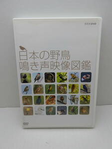 83/R811★動物DVD★日本の野鳥 鳴き声映像図鑑★NHKエンタープライズ★中古品