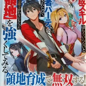 育成スキルはもういらないと勇者パーティを解雇されたので、退職金がわりにもらった〈領地〉を強くしてみる （ＧＡノベル） 黒おーじ／著