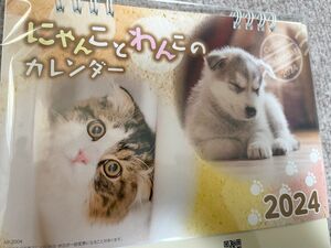 にゃんことわんこのカレンダー2024年★犬と猫の卓上カレンダー★新品未開封★