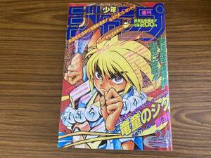 週刊少年ジャンプ 1995年 24号 竜童のシグ 新連載 王様はロバ ダイの大冒険 あやつり左近 雑誌 当時物 スラムダンク ドラゴンボール/A10