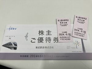 東武鉄道 株主優待　2024.6.30 きっぷ2枚+冊子　定形無料