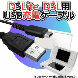 USB充電コード DSLite ライト Nintendo ケーブル 線 ニンテンドーDS Lite 充電ケーブル 急速充電 高耐久 断線防止 USBケーブル 充電器 A02