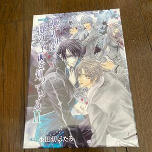 未開封品 デッドストック 倉庫保管品 ドラマCD 裏切りは僕の名前を知っている2 小田切ほたる 保志総一朗 櫻井孝宏 小野大輔 石田彰の画像1