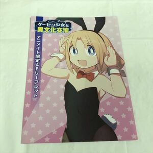 P47479 ◆ゲーセン少女と異文化交流　アニメイト特典 小冊子 リーフレット