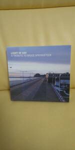 Light of Day A Tribute to Bruce Springsteen /V.A ブルース スプリングスティーン(国内盤２枚組)