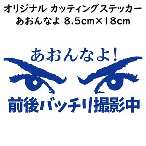 ステッカー あおんなよ 前後バッチリ撮影中 ブルー 縦8.5ｃｍ×横18ｃｍ パロディステッカー ドラレコ ドライブレコーダー