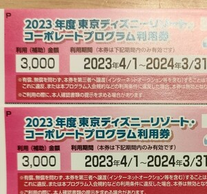 東京ディズニーリゾート コーポレートプログラム利用券 3000円 ×2枚