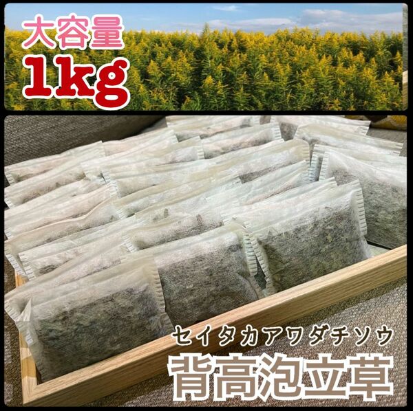 【大容量】セイタカアワダチソウ　乾燥　1kg パック個包装　100g×10袋