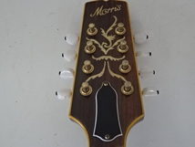 Morris フラットマンドリン MF-300 ジャンク 管理O-42_画像6