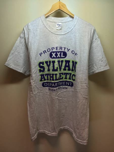 SylvanAthleticDepartment/GILDAN(USA)ビンテージTシャツ