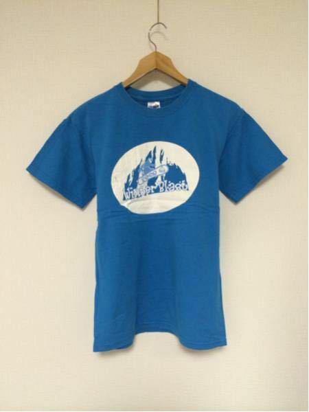 WinterBlast/GILDAN(USA)ビンテージTシャツ