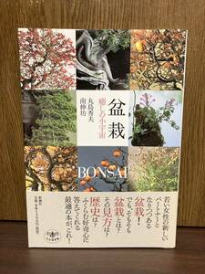 2003 year the first version obi attaching bonsai ... small cosmos circle island preeminence Hara south .. viewpoint history discount .. beautiful ..... book