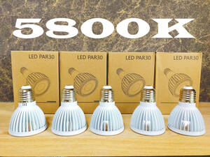 [ free shipping ] plant rearing light 10W 5800K 5 piece white color sun light full spec ktoruLED