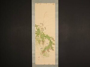 Art hand Auction [Authentique] [Transferred_II] dr2002 Fleurs et plantes d'automne contre l'eau Bruit d'insectes avec boîte, double boîte, automne suspendu, Peinture, Peinture japonaise, Fleurs et oiseaux, Faune