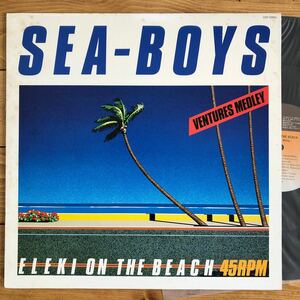 最終セール/SEA-BOYS/渚のエレキ・パーティー/Eleki On The Beach Ventures Medley/永井博/Hiroshi Nagai/LP/レコード/Vinyl/12インチ