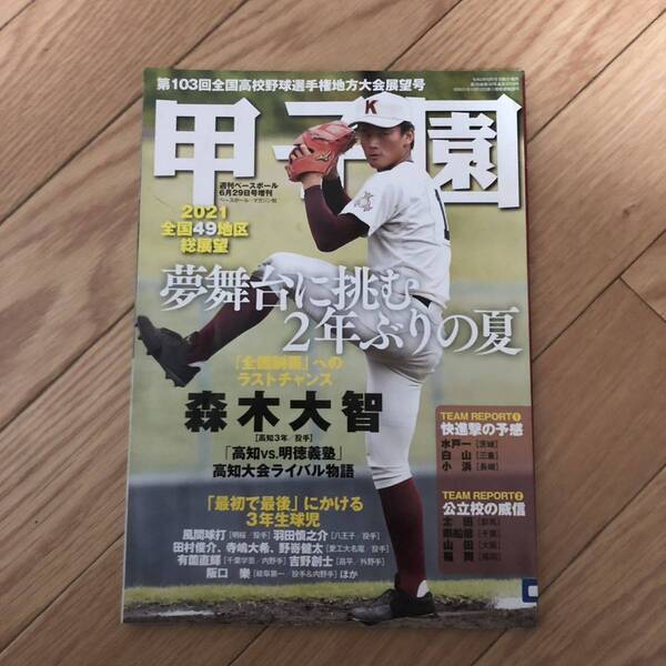 甲子園　週間ベースボール2021年6月29日号増刊　全国49地区総展望　明徳義塾　千葉学芸　リサイクル本　除籍本