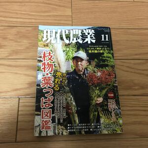 現代農業2019年11月号　野山から売れる　枝物・葉っぱ図鑑　きのこは一度冷凍すべき　カビない干し柿作り　売れる枝物　リサイクル本除籍本