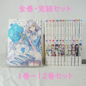 【全巻セット】捨てられた皇妃／１巻～１２巻(完結)セット【コミック】