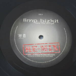 Limp Bizkit new old songs LP REMIX リンプ ビズキット 2枚組の画像5