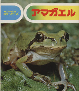 アマガエル カラー自然シリーズ２０／七尾純(著者),小田英智(著者)