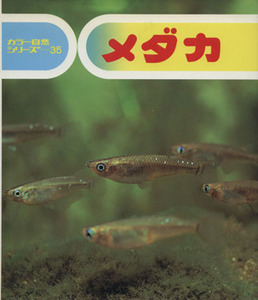 メダカ カラー自然シリーズ３５／酒泉満(著者),久保秀一(著者)