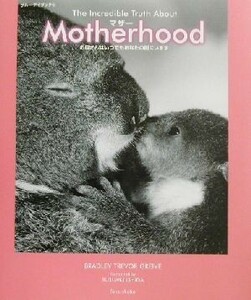 Ｍｏｔｈｅｒｈｏｏｄ お母さんはいつでもあなたの側にいます ブルーデイブックシリーズ５／ブラッドリー・トレバー・グリーヴ(著者),石田