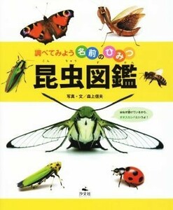 昆虫図鑑 調べてみよう名前のひみつ／森上信夫