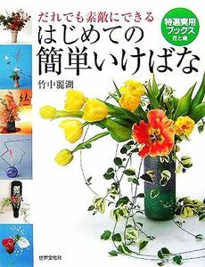 だれでも素敵にできるはじめての簡単いけばな 特選実用ブックス／竹中麗湖(著者)