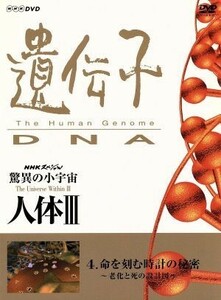 ＮＨＫスペシャル　驚異の小宇宙　人体III　ｖｏｌ．４命を刻む時計の秘密～老化と死の設計図～／谷川俊太郎,大滝秀治,山根基世