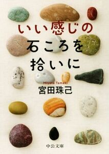 いい感じの石ころを拾いに 中公文庫／宮田珠己(著者)