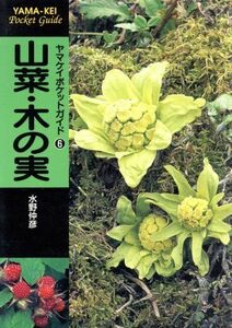 山菜・木の実 ヤマケイポケットガイド６／水野仲彦(著者)