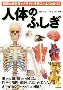 人体のふしぎ 精密な解剖図でカラダの仕組みがよくわかる！／矢沢サイエンスオフィス(著者)