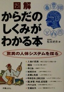 図解　からだのしくみがわかる本 驚異の人体システムを探る／桜木晃彦(著者)