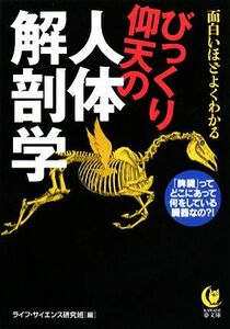 びっくり仰天の人体解剖学 面白いほどよくわかる　「脾臓」って、どこにあって何をしている臓器なの？！ ＫＡＷＡＤＥ夢文庫／ライフ・サイ