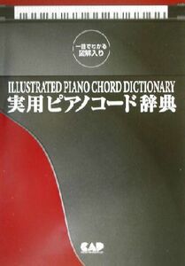 一目で分かる図解入り　実用ピアノコード辞典 一目でわかる図解入り／沢新平(その他)