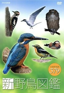  новый дикая птица иллюстрированная книга DVD-BOX|( хобби | образование )