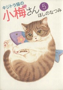 キジトラ猫の小梅さん(５) ねこぱんちＣ／ほしのなつみ(著者)