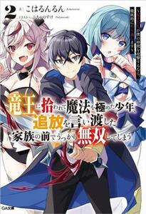 竜王に拾われて魔法を極めた少年、追放を言い渡した家族の前でうっかり無双してしまう(２) 兄上たちが僕の仲間を攻撃するなら、徹底的にや