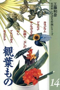 観葉もの(１４) 観葉もの 花材別　いけばな作例シリーズ１４／工藤和彦(著者)