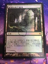 MTG/新緑の地下墓地/Verdant Catacombs/ZEN/日本語/Foil_画像3