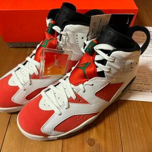 Nike Air Jordan 6 Retro "Gatorade Like Mike White" ナイキ エアジョーダン6