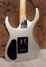 washburn ワッシュバーン WR150 ギター_画像5