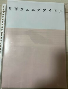 藤井あい（大沢里菜） 　４SET 南蓮菜　７SET　　　　　月刊Juniorアイドル