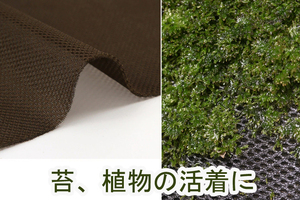 ハイグロロン 48×80ｃｍ　1枚　MOSSグリーン　着生植物　苔パルダリウム　テラリウム　ビバリウム　保水