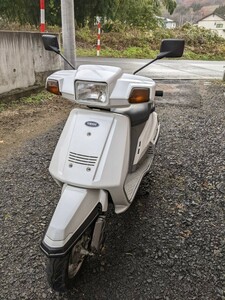 ヤマハ　シグナス125 50V