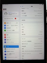 Apple iPad mini 第5世代 64GB Wi-Fi+Cellular スペースグレイ 中古 本体のみ MUX52J/A_画像10